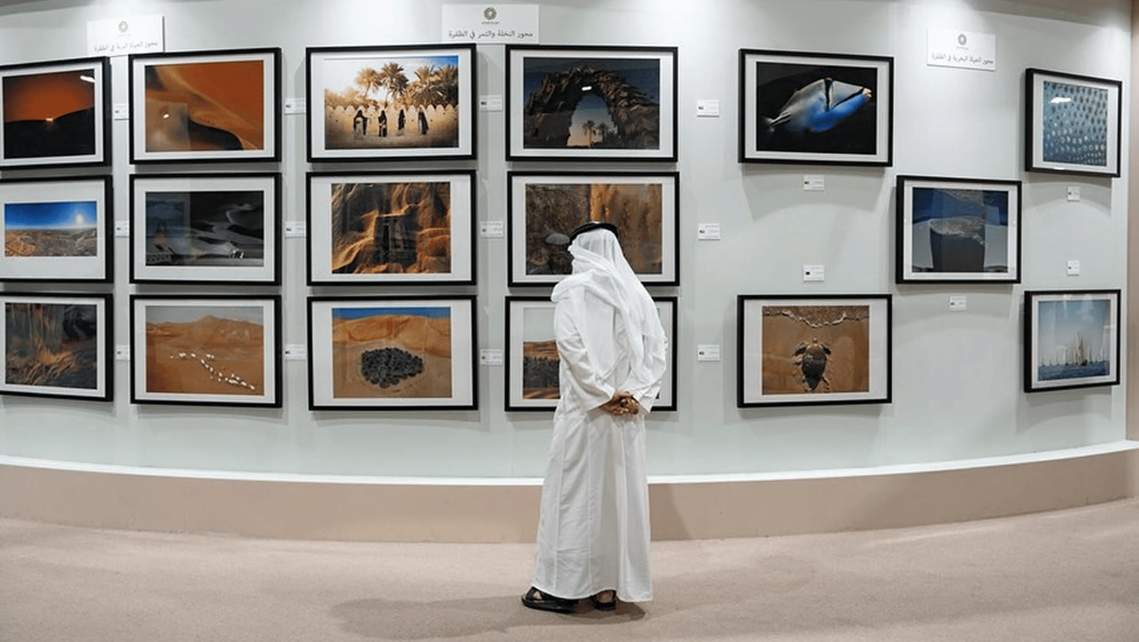 Al Dahfra Dates Festival 4